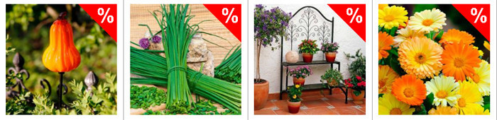 Garten Sale